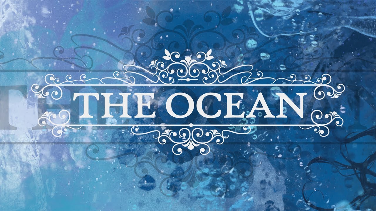 アルバム紹介】The Ocean Collective、深海からの創造。 | Grumble